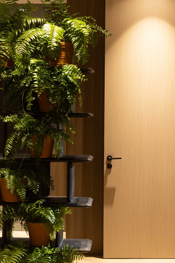 Puerta junto a una estantería con helechos