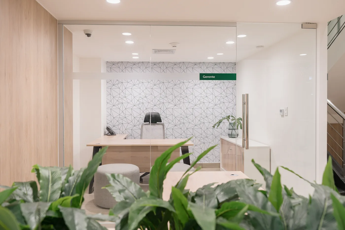 Oficina de gerencia tras una división de vidrio, con escritorio de madera, el mural de líneas al fondo y plantas en primer plano